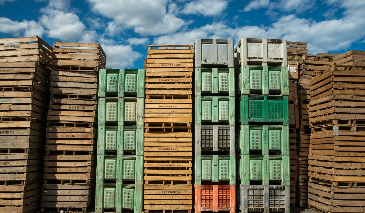 How Do Proven Pallet Wood Suppliers Deliver Real Value?